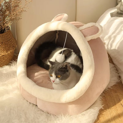 The Purr-fect Snooze Zone: The Foldable Feline Fortress for Dreamy Cats and Snuggly Small Dogs!
