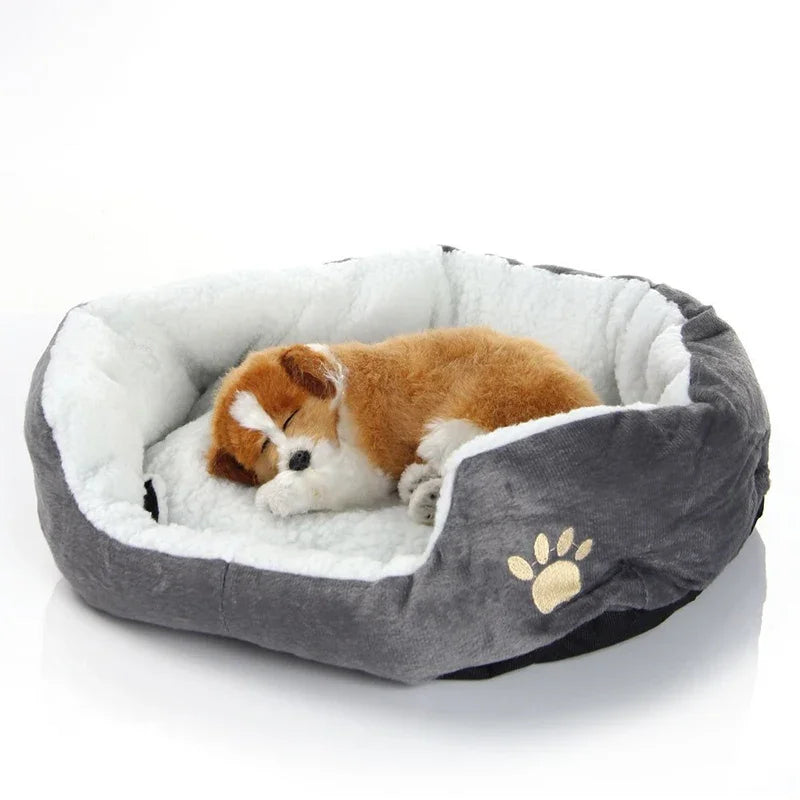 Paw-sitively Plush Pet Hangout: The Cozy Cave for Spoiled Puppies and Royal Kitties!