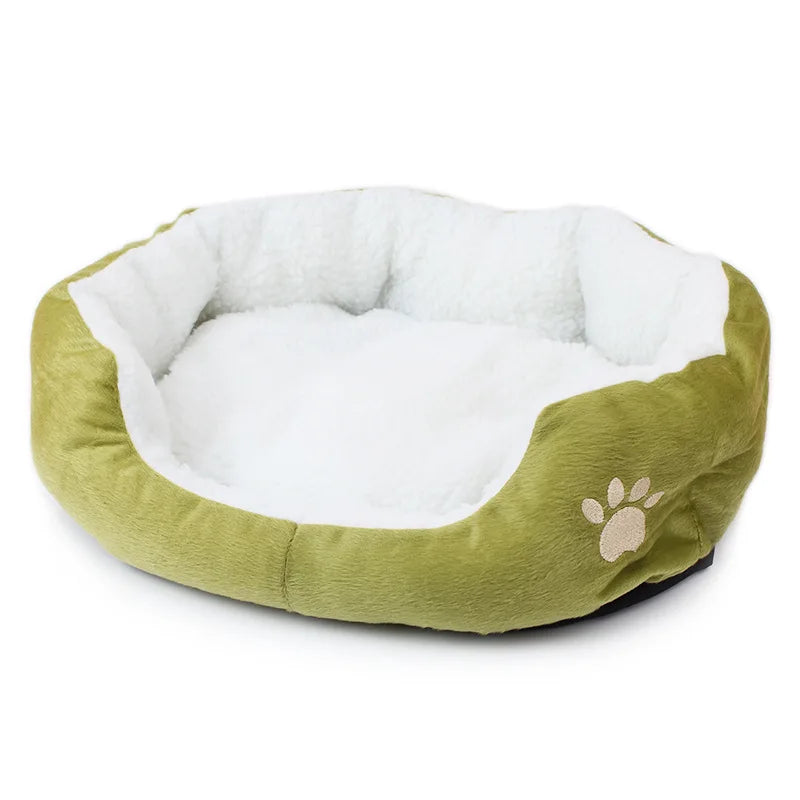 Paw-sitively Plush Pet Hangout: The Cozy Cave for Spoiled Puppies and Royal Kitties!