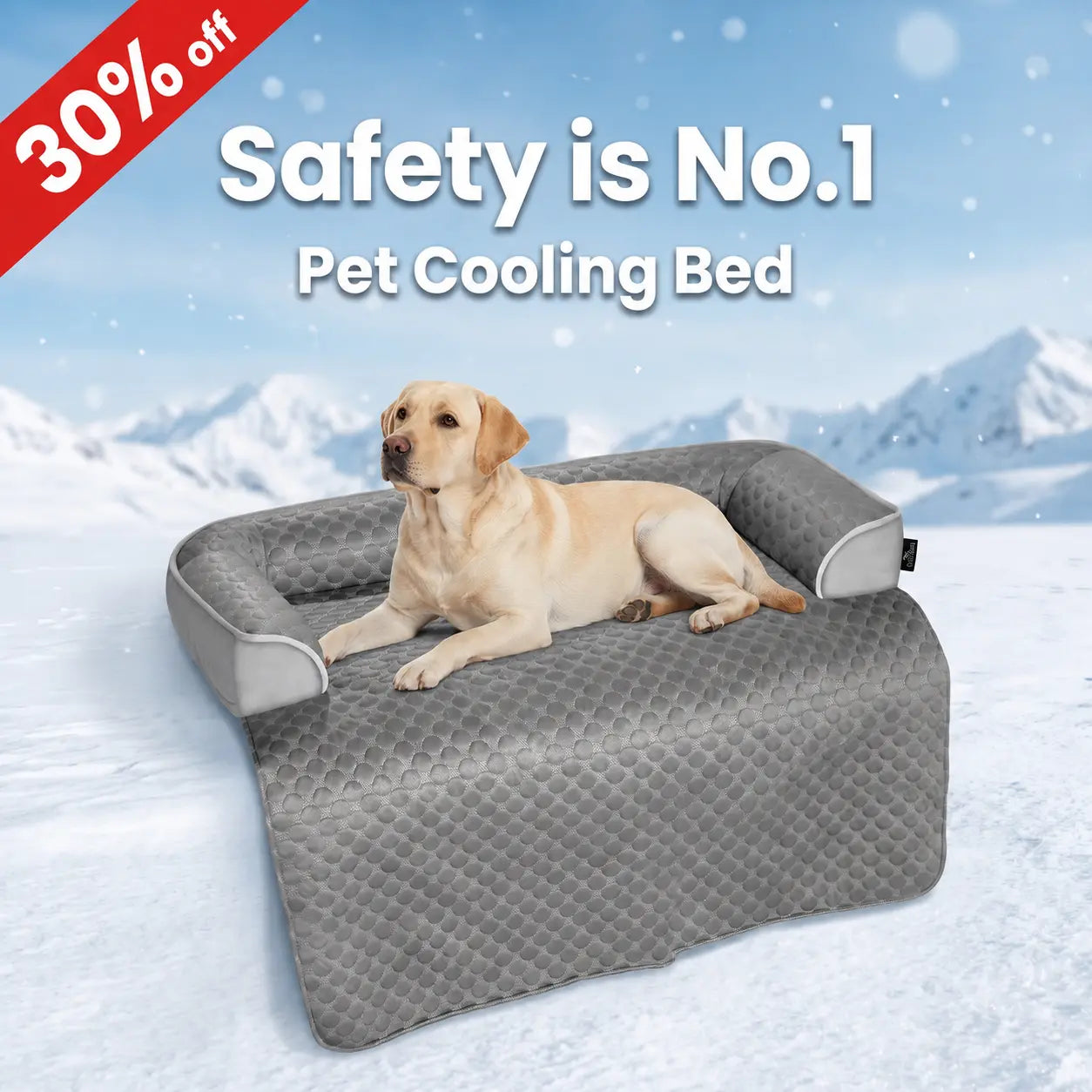Blunique Cooling Dog Couch Bed with Bolster Sides - Q-Max >0.35, Waterproof Fabric, Non-Slip Base, Easy Cleaning, Cooling Surface, Supportive Rest, Puppy Bed for Home & Camping Use