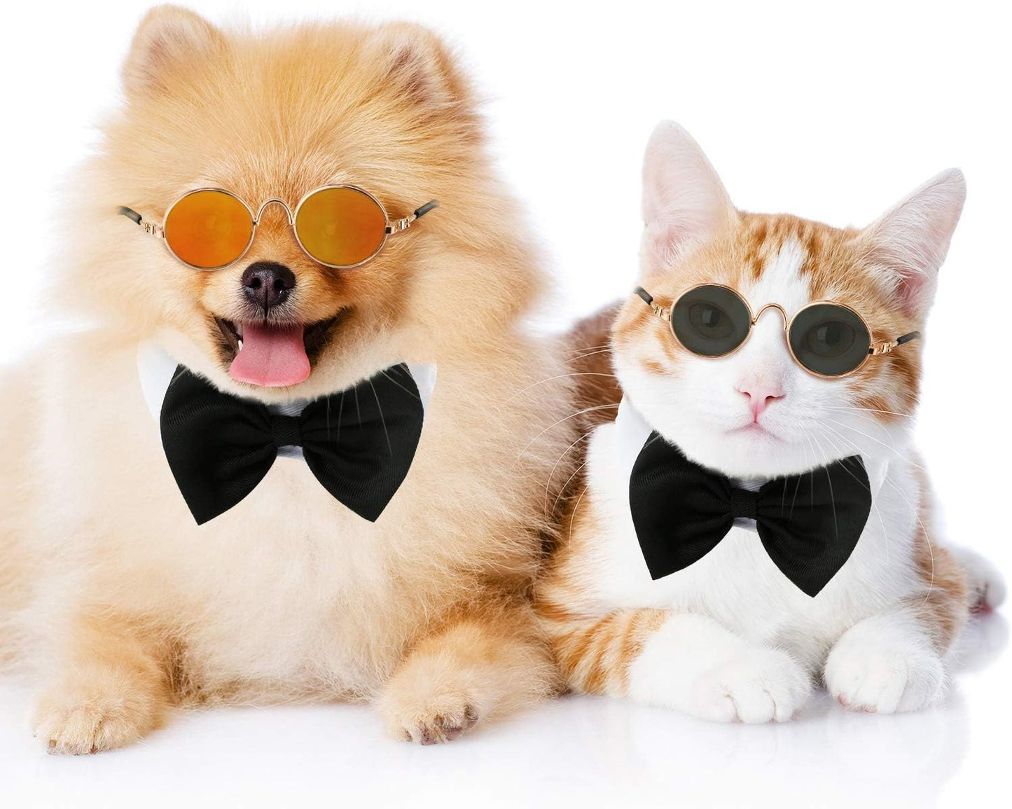 Purr-fectly Cool Shades for Feline Fashionistas: 6 Pairs of Cat Sunglasses to Make Your Kitty Look Like a Movie Star!
