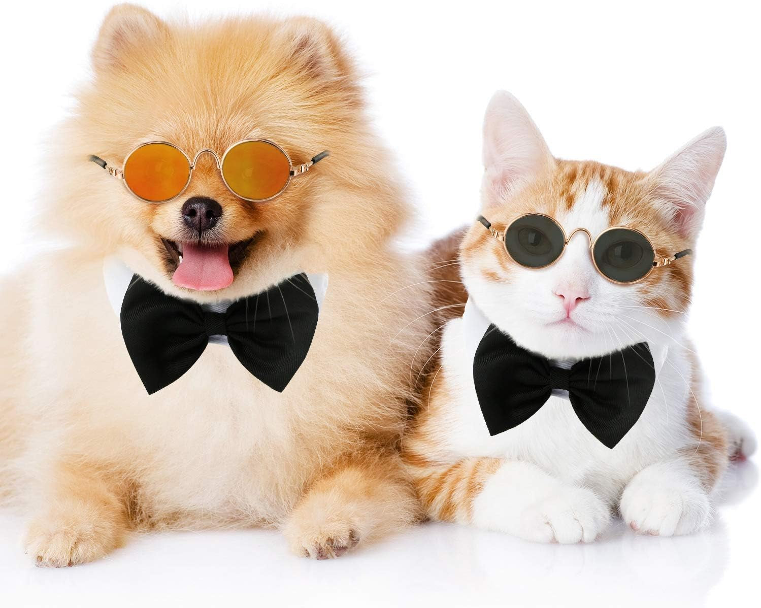 Purr-fectly Cool Shades for Feline Fashionistas: 6 Pairs of Cat Sunglasses to Make Your Kitty Look Like a Movie Star!