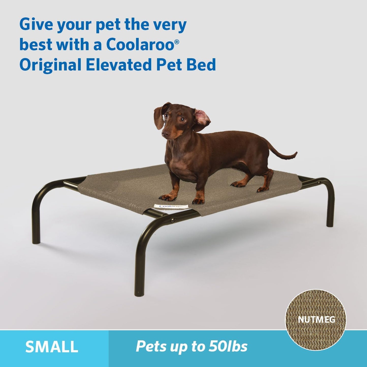 Nutmeg's Chillaxin' Throne: The Coolest Bed for Small Pooches!