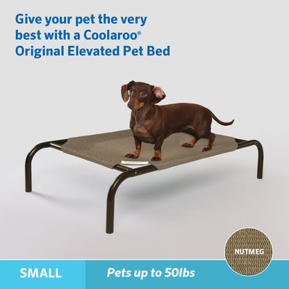 Nutmeg's Chillaxin' Throne: The Coolest Bed for Small Pooches!